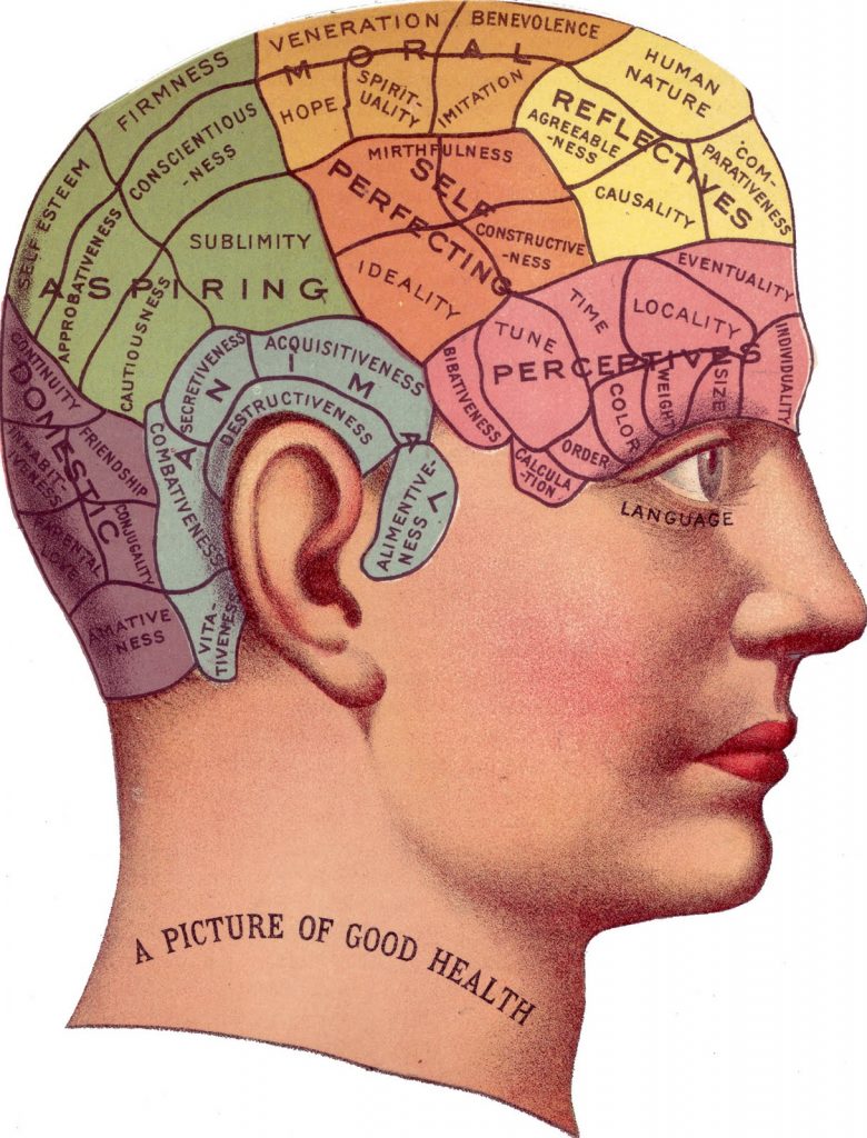 خريطة للدماغ