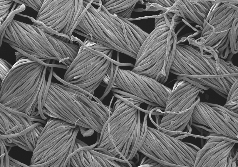 صورة لنسيج من القطن مُغطى بهياكل النانو تحت الميكروسكوب