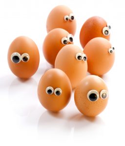 dreamstime_xs_13287935-eggs-with-eyes