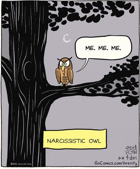 funny-owl-narcissistic-comic