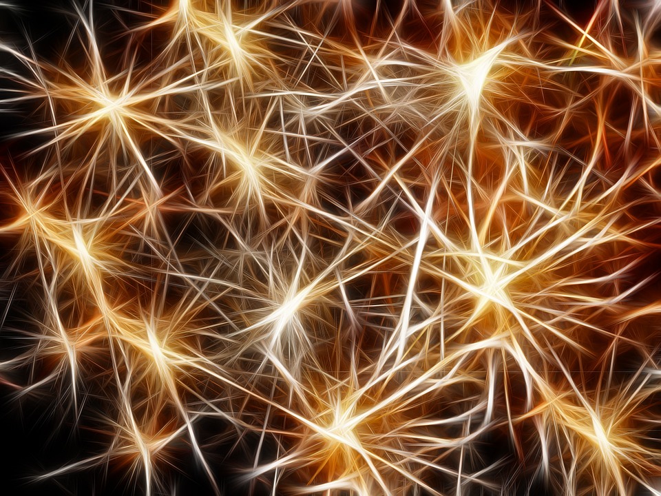 الخلايا العصبية النشطة أثناء تخزين الذاكرة