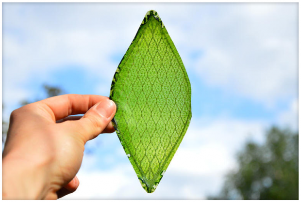 39376_04_an_artificial_leaf_could_be_the_future_of_space_travel