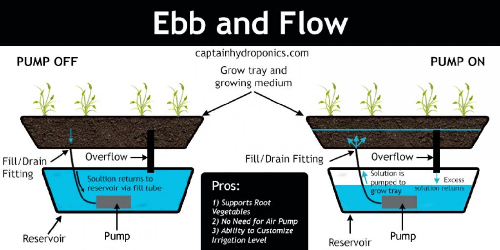 ebb-and-flow-hydroponic-system_53200f8425d4e_w1500