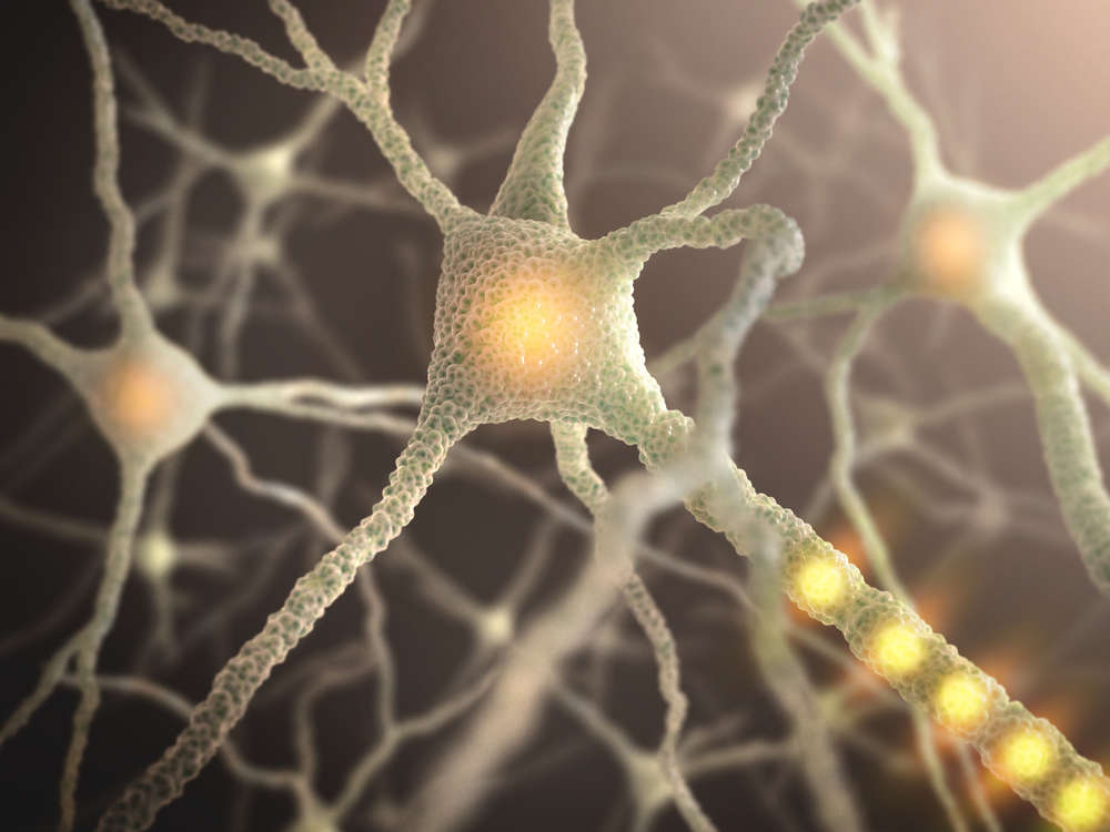 content-1471619717-parkinsons-neurons